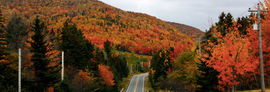 aller au Canada