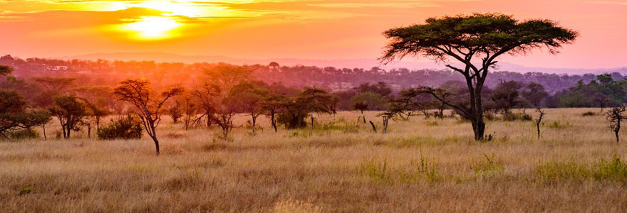 Parc national du Serengeti