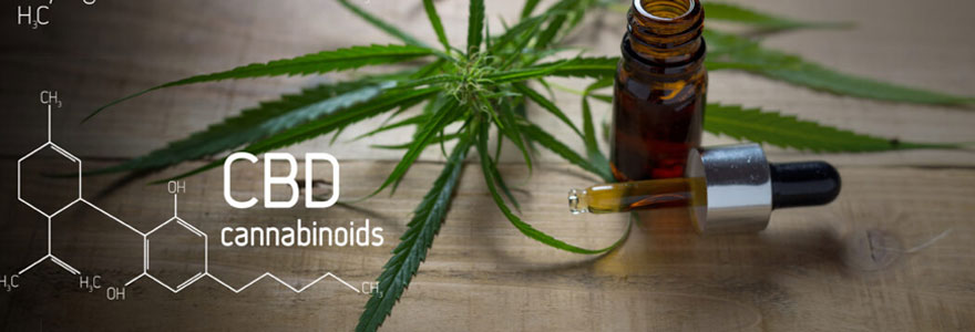 cannabinoïdes