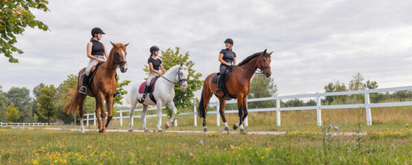 équitation