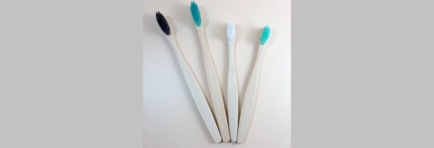 brosse à dent écologique