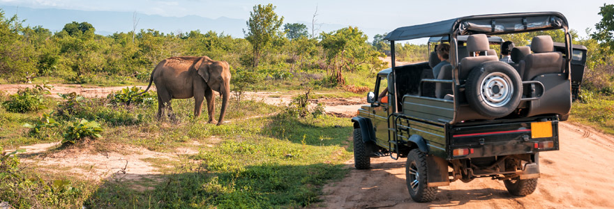 voyage en Tanzanie