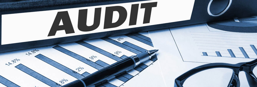 Audit organisationnel